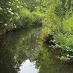 Eifel דירה אנטוויילר